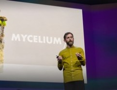 DanWidmaier 2022 embed